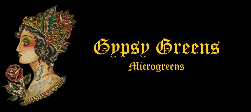 FBheaderGypsyGreens